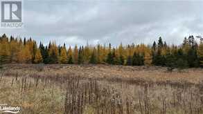 LOT 2 HILL AND GULLY Road | Burks Falls Ontario | Slide Image Four