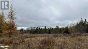 LOT 2 HILL AND GULLY Road | Burks Falls Ontario | Slide Image Five