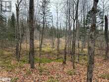 LOT 2 HILL AND GULLY ROAD | Magnetawan Ontario | Slide Image Seven