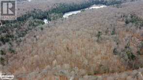 0 BASSHAUNT LAKE Road | Haliburton Ontario | Slide Image Twenty