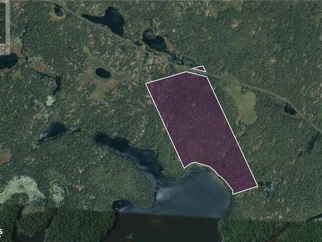 8381 BOLGER LAKE Dunchurch Ontario, P0A 1G0