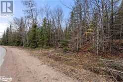 0 HARBURN Road | Haliburton Ontario | Slide Image Ten