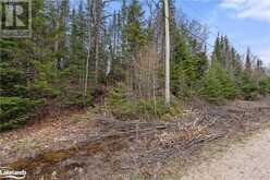 0 HARBURN Road | Haliburton Ontario | Slide Image Nine