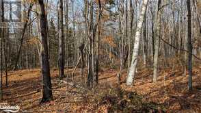 LOT 2 TALLY HO WINTER PARK Road | Lake of Bays Ontario | Slide Image One