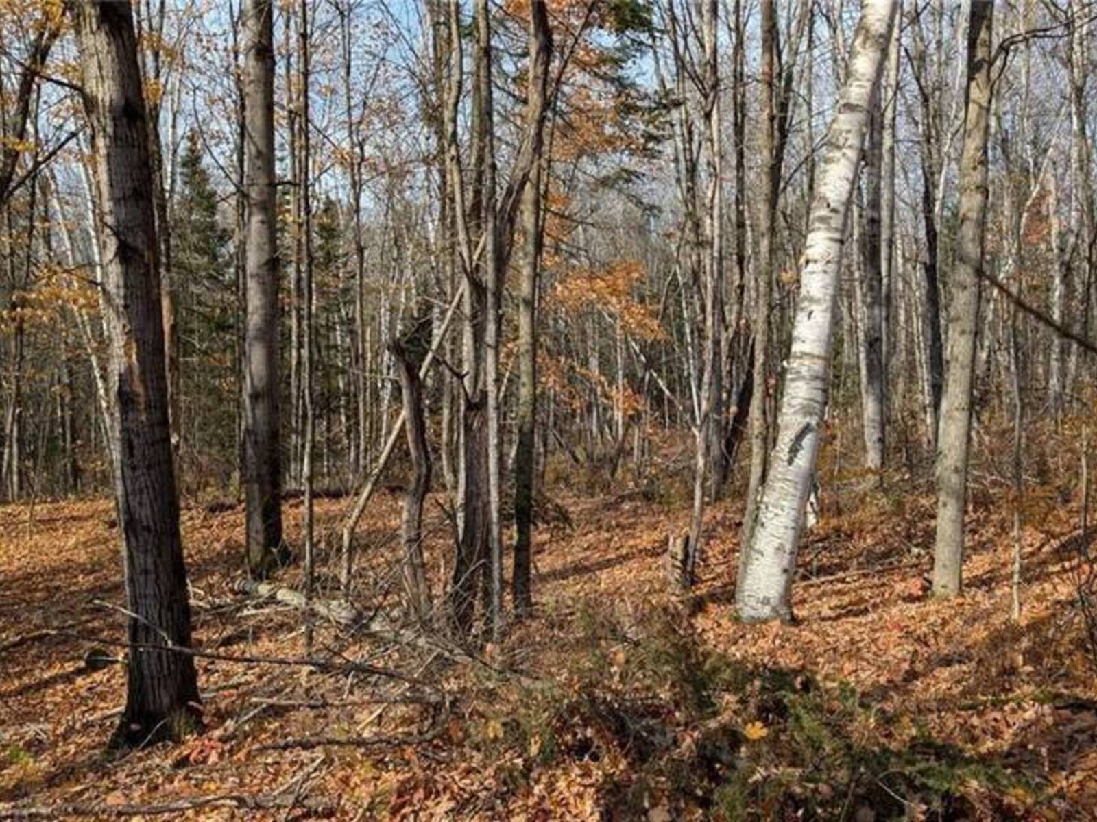 LOT 2 TALLY HO WINTER PARK Road, Lake of Bays, Ontario P1H 2E5