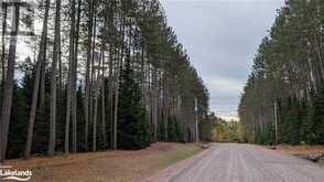 2 RED PINE Trail | Bracebridge Ontario | Slide Image Four