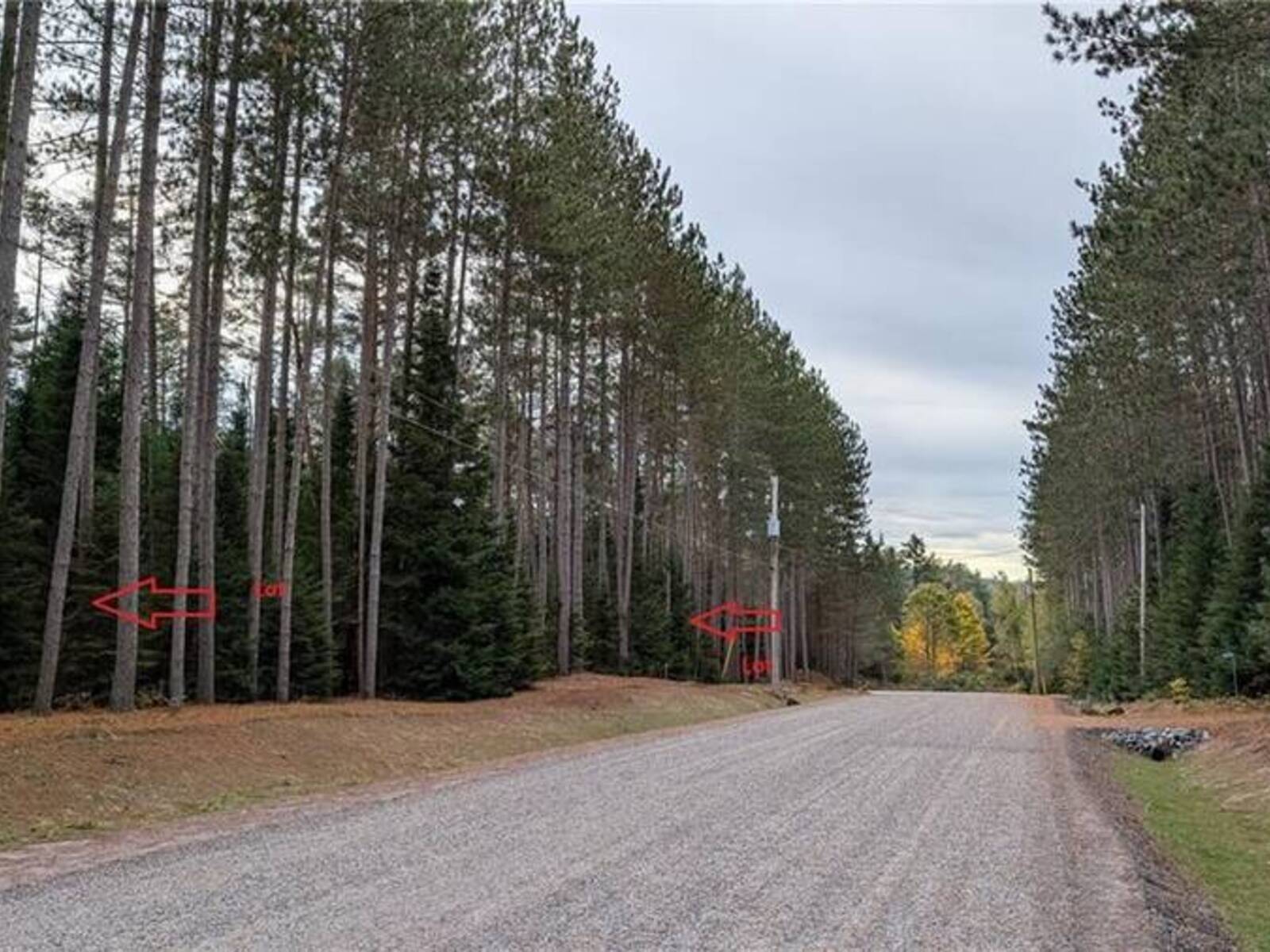 2 RED PINE Trail, Bracebridge, Ontario P0B 1L0