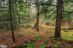 15-16 - 93 RYE ROAD | Parry Sound Ontario | Slide Image Thirty-eight