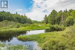 0 N/A | Haliburton Ontario | Slide Image Fourteen