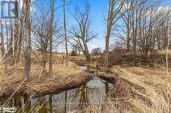 137079 GREY ROAD 12 ROAD | Meaford Ontario | Slide Image Fifteen