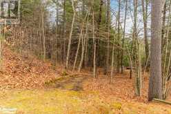 1012 PARASOL Drive | Algonquin Highlands Ontario | Slide Image Forty