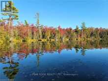 126 FOREST CREEK TRAIL | West Grey Ontario | Slide Image Thirty-six