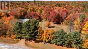 4866 HWY 124 Highway | Magnetawan Ontario | Slide Image Fourteen