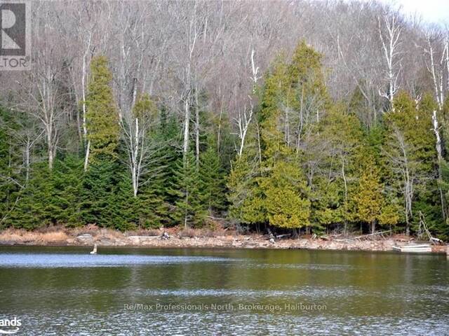 0 CLIVE TRAIL Haliburton Ontario, K0M 1S0 - Waterfront Land For Sale