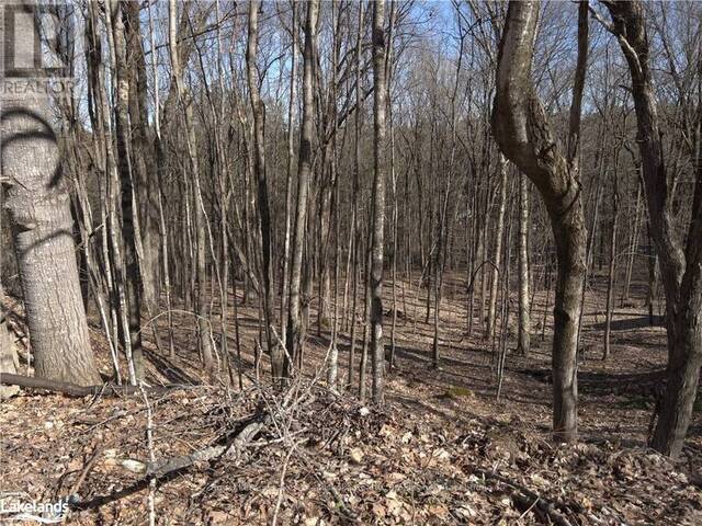 0 SOUTH MUSKOKA DRIVE Bracebridge Ontario, P1L 1M4 - Vacant Land For Sale