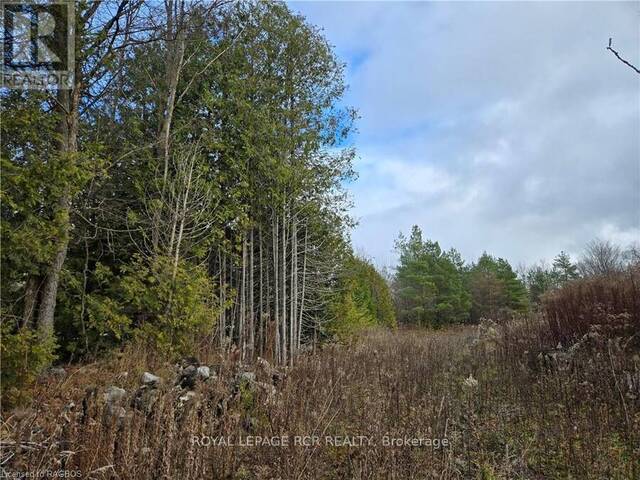 PTLT8ES SALTER STREET Chatsworth Ontario, N0H 2V0 - Vacant Land For Sale