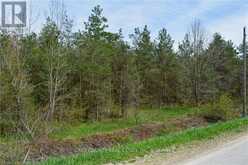 CON 3 EGR PT LOT 63 PCL 3 CONCESSION | Chatsworth Ontario | Slide Image Five