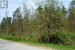 CON 3 EGR PT LOT 63 PCL 3 CONCESSION | Chatsworth Ontario | Slide Image Six