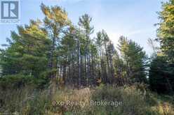 LOT 25 CONCESSION ROAD 10 | West Grey Ontario | Slide Image Eight