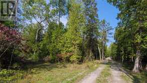 97 DEVILS GLEN ROAD | Northern Bruce Peninsula Ontario | Slide Image Nine