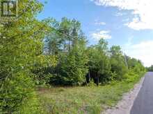 LT31-32 BIG TUB ROAD | Tobermory Ontario | Slide Image Twenty-seven