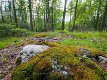 LT31-32 BIG TUB ROAD | Tobermory Ontario | Slide Image Seven