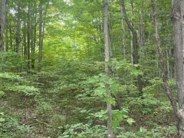 PT LT 20 CONCESSION 5 Chatsworth Ontario, N0H 1G0 - Vacant Land For Sale