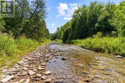 627506 GREY ROAD 119 | The Blue Mountains Ontario | Slide Image Nine