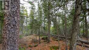 1035 DORCAS BAY ROAD | Northern Bruce Peninsula Ontario | Slide Image Eighteen