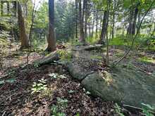 LOT 5 26 HIGHWAY | Meaford Ontario | Slide Image Ten