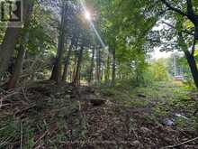 LOT 5 26 HIGHWAY | Meaford Ontario | Slide Image Four