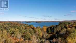 1033 POINT IDEAL ROAD | Lake of Bays Ontario | Slide Image Thirty-two