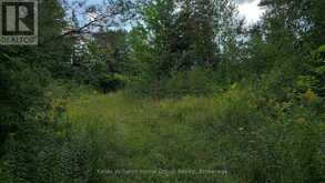 4875 WELLINGTON RD 29 | Guelph-Eramosa Ontario | Slide Image Twenty