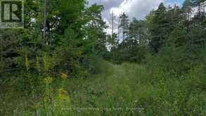 4875 WELLINGTON RD 29 | Guelph-Eramosa Ontario | Slide Image Seventeen