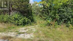4875 WELLINGTON RD 29 | Guelph-Eramosa Ontario | Slide Image Twenty-six
