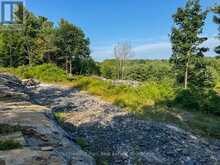 1681 MUSKOKA BEACH ROAD | Bracebridge Ontario | Slide Image One