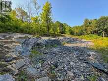 1681 MUSKOKA BEACH ROAD | Bracebridge Ontario | Slide Image Three