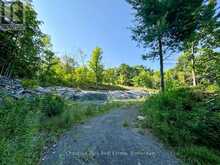 1681 MUSKOKA BEACH ROAD | Bracebridge Ontario | Slide Image Four