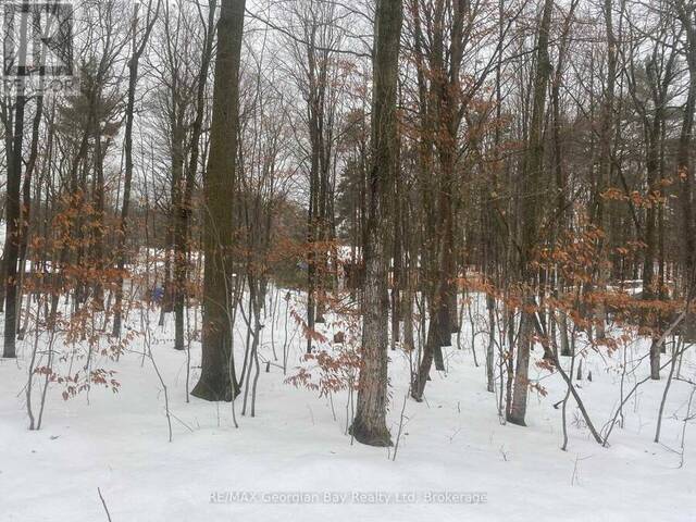 LOT 558 FOREST CIRCLE Tiny Ontario, L9M 0H7