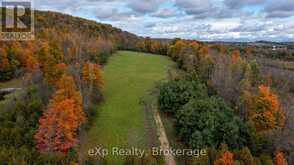 084482 6 SIDE ROAD | Meaford Ontario | Slide Image Three