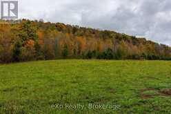 084482 6 SIDE ROAD | Meaford Ontario | Slide Image Four