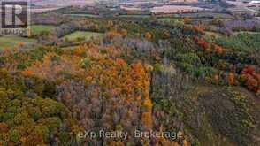 084482 6 SIDE ROAD | Meaford Ontario | Slide Image Eighteen