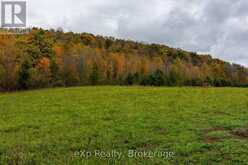 084482 6 SIDE ROAD | Meaford Ontario | Slide Image Six