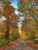 0 BEAR ISLAND | Lake of Bays Ontario | Slide Image Five