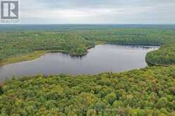 0 BEAR ISLAND | Lake of Bays Ontario | Slide Image Seven