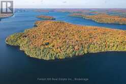 0 BEAR ISLAND | Lake of Bays Ontario | Slide Image Eight