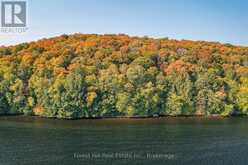 0 BEAR ISLAND | Lake of Bays Ontario | Slide Image Eleven