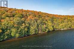 0 BEAR ISLAND | Lake of Bays Ontario | Slide Image Twelve