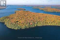 0 BEAR ISLAND | Lake of Bays Ontario | Slide Image Two