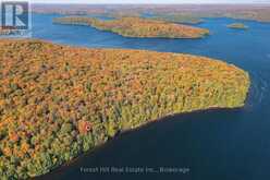 0 BEAR ISLAND | Lake of Bays Ontario | Slide Image Four